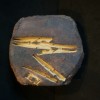 MORDISCO DE PINZAS