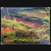 PAISAJE0122
