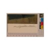 DUES NOIES