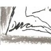 Carte blanche#4