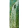 Zambullirse en la cascada verdosa de Cantabria /para Miguel Ormaetxea