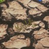 Corazón en Juego I 