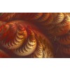 GATO EN FRACTAL