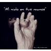 Mi NIDO EN TUS MANOS