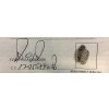 PACIENCIA 