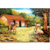 casa campesina del campo 
