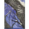 Búho Azul