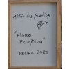 FLORA PRIMITIVA