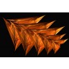 FLECHA FRACTAL