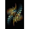 HOMBRE CONECTADO CABALGANDO UN FRACTAL