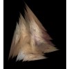 FRACTAL PLUMÍFERO
