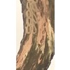 balanza del existir