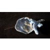 BROCHE 8 Hombre Cerámico Azul