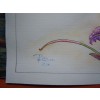 Campanilla malva