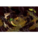 Serie  Shines  5 Dorado 