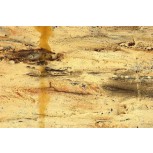 Terra sub uno (11)