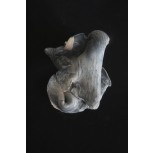 REPLEGARSE Y NO MOSTRARSE