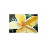 Florecilla amarilla