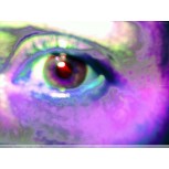 Ojos 4