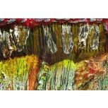 Terra sub dos (9)