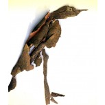 PÁJARO DE UN SOLO VUELO