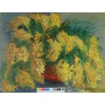 MIMOSAS
