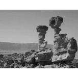 Naturaleza en Equilibrio