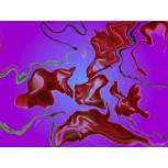 Movimiento 29