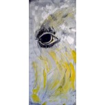 Ojo