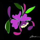 Orquídea #1