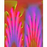 Flores del plano astral II