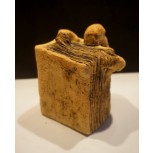 EL DEVORADOR DE LIBROS