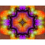 EXOTICK (SERIE_DESSING ART)