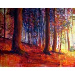 bosque de pinos con luz vespertina