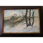 Monta&ntilde;as nevadas