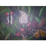 Mariposas / Butterflies