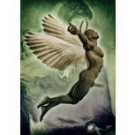 Angel Anunciador
