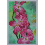 serie flores 1