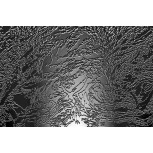 Gris -Negro 2