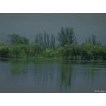Paisaje gris