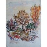 Bosque encantado en otoño