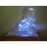 Torso