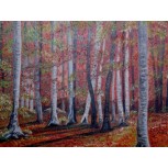 oto&ntilde;o