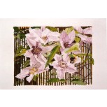 Flores 5