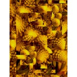 FRACTAL FRAGMENTADO