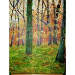 paisaje