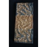 CROMOSOMAS DE LA TIERRA