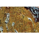 &Aacute;urea sub (6)