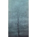 Luz de invierno
