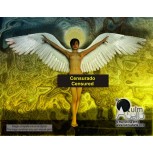 Custodia
